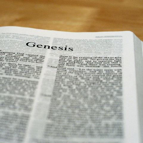 Genesis - Books of the Bible - King James Version