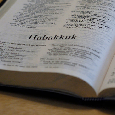 Habakkuk - Books of the Bible - King James Version