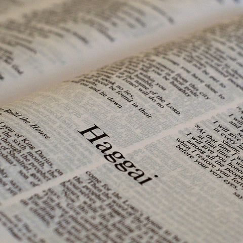 Haggai - Books of the Bible - King James Version