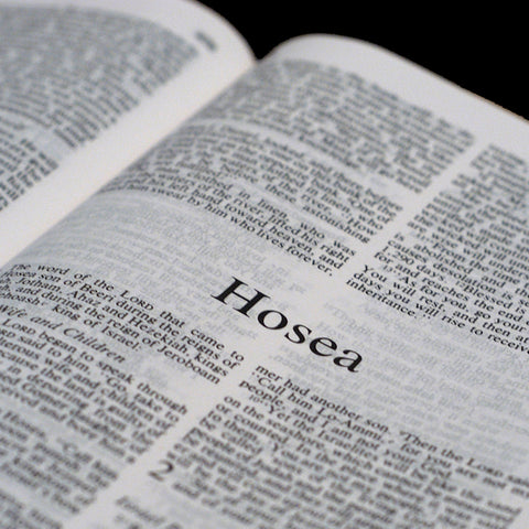 Hosea - Books of the Bible - King James Version