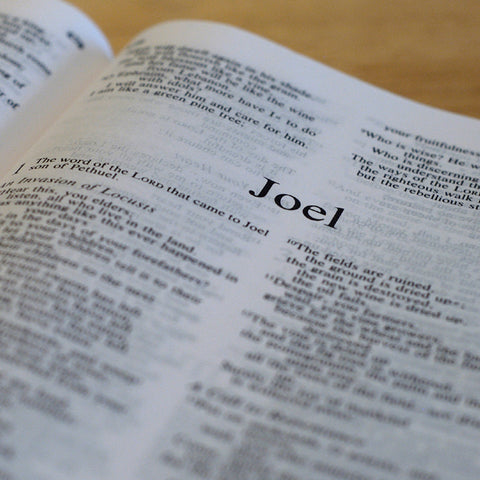 Joel - Books of the Bible - King James Version