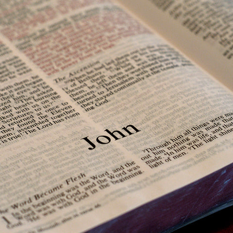 John - Books of the Bible - King James Version