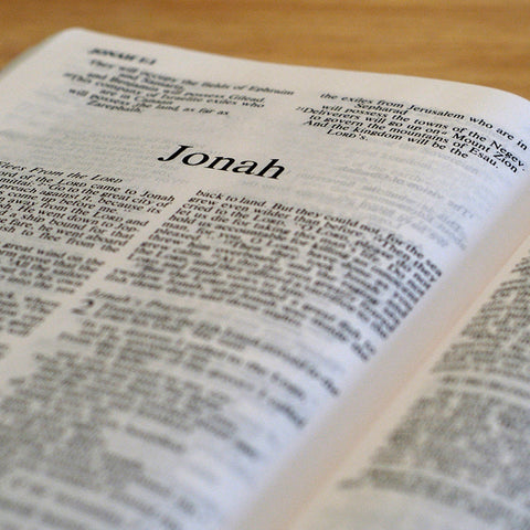 Jonah - Books of the Bible - King James Version