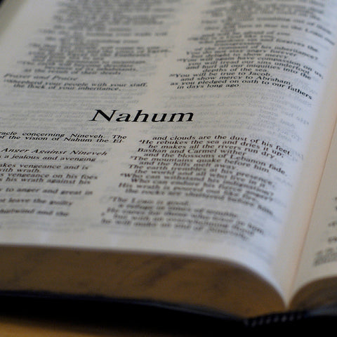 Nahum - Books of the Bible - King James Version