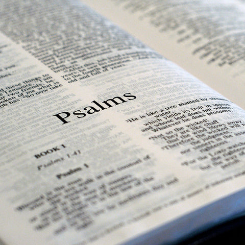 Psalms - Books of the Bible - King James Version