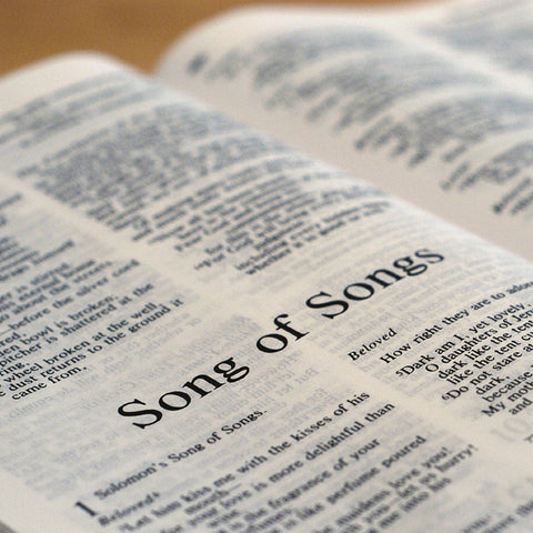 Song of Songs - Books of the Bible - King James Version
