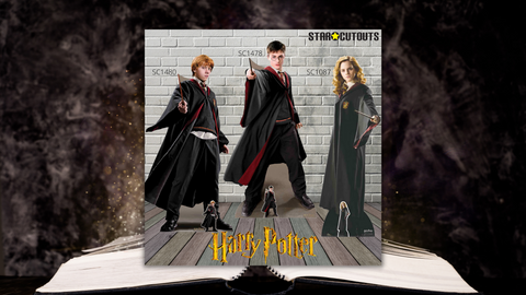 harry hermione ron weasley cardboard cutouts