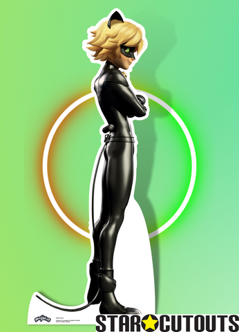 Cat Noir Cardboard Cutout