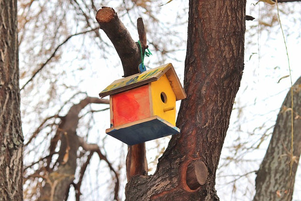 Bird House