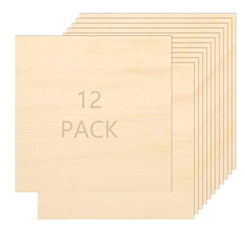 12 Pack 9 x 11.4 Inch Basswood Sheets,1/16 Thin Craft Plywood  Sheets,Plywood Board Thin Wood Board Sheets,Unfinished Wood Boards for DIY  Projects,Model Making 