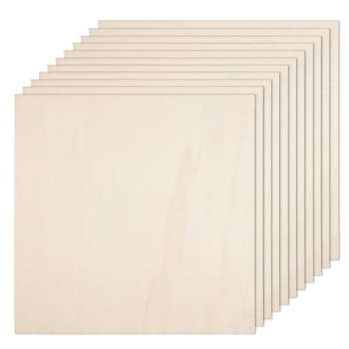  12 Pack Basswood Plywood Sheets 12 x 12 x 1/5 Inch-5 mm Thick  Basswood Plywood Board Wood Squares Sheets Natural Unfinished Wood for  Crafts, Painting, Model Making, Wood Burning and Laser