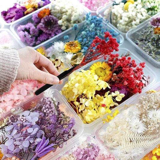 10pcs Dried Pressed Flowers For Resin, Real Pressed Flowers Dry Leaves Bulk  Natural Herbs Kit For DIY, Epoxy Resin Jewelry Molds, Candle,  Halloween,Thanksgiving And Christmas Gift