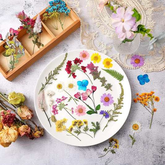 Other Event Party Supplies Natural Dried Pressed Flowers For Resin Dry  Flower Bulk Herbs Kit Candle Epoxy DIY Art Crafts 230619 From Bian09, $13.9