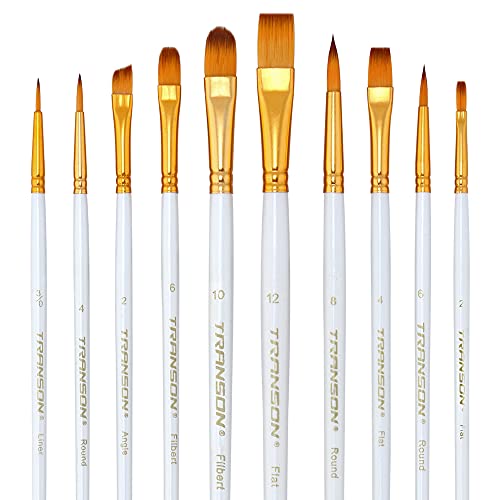 Transon 16pcs Professional Long Artist Paint Brush Set with Brush Case  Assorted