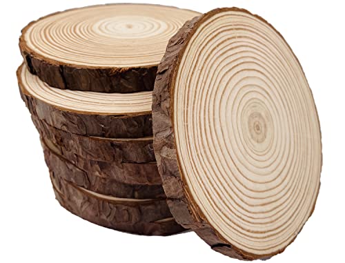 Natural Wood Slices - 9