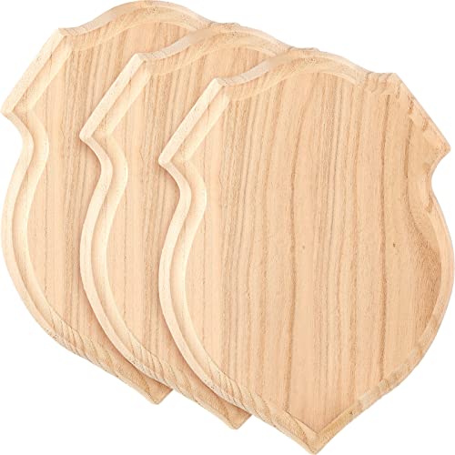 4 Pcs Unfinished Wood Signs Blank Hanging Wooden Plaques, 9 x 12 Inch Blank  Signs for Crafts DIY Craft Wood Board for Burning Project Home Wall Door  Decorations, 4 Assorted Shapes 