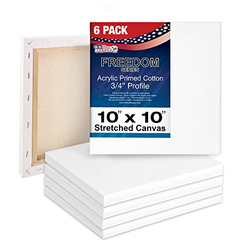 US Art Supply 20 x 30 inch Stretched Canvas 12-Ounce Triple Primed, 6-Pack  - Professional Artist Quality White Blank 3/4 Profile, 100% Cotton