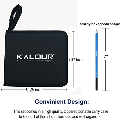KALOUR 50 Pack Drawing Set Sketch Kit Pro,Art Sketching Supplies with  3-Color Sketchbook,Include Graphite,Charcoal, Pastel and Mechanical  Pencil,Ideal for Artist Adults Beginner Kids - Yahoo Shopping