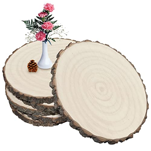 Wood Slices 10 Inches-11In 6 Pcs Wood Rounds Large Wood Slices for Cen –  WoodArtSupply