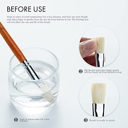 ARTIFY Oil Paint Brush Set - 11 Pieces | Professional Artist Paint Brush  Set for Oil Painting | Natural Hog Bristle Brushes with an Additional Nylon
