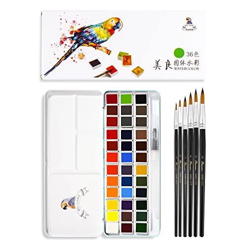 MeiLiang Watercolor Paint Set 36 Vibrant Colors 5ml / 0.17 Fl Oz Tubes,  Watercolor Tubes with Great Value, Water Color Paints Art Supplies for  Adults