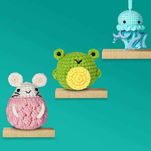 Kogyxe Beginners Crochet Kit, Amigurumi Crocheting Animals Kits w  Step-by-Step Video Tutorials, Crochet Starter Kit Knitting Starter Pack for  Adults