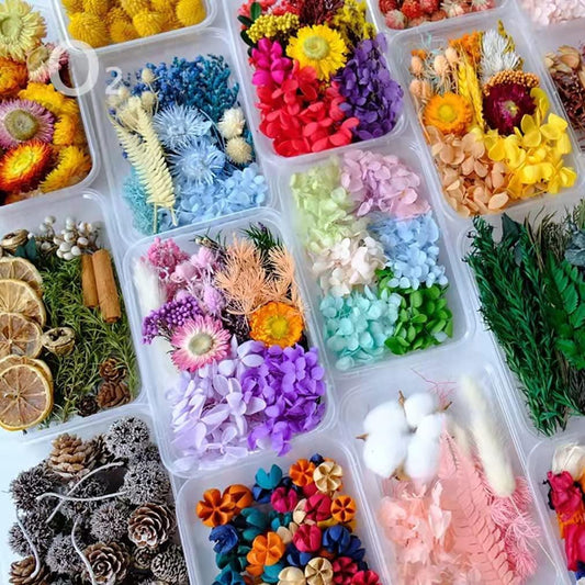 Thrilez 100Pcs Pressed Dried Flowers for Resin Molds Natural Dried Flower  Herbs kit for Scrapbooking Supplies