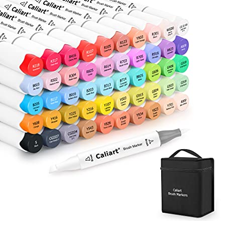 Caliart 41 Colors Dual Tip Art Markers Permanent Alcohol Based Markers –  WoodArtSupply