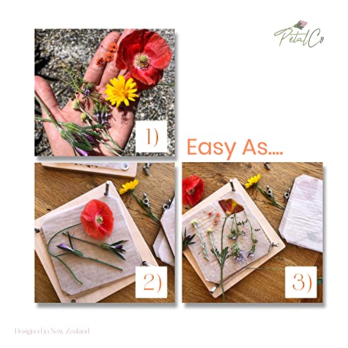 Aboofx Large Professional Flower Press Kit, 6 Layers 10.8 x 6.9 inch DIY Flower Pressing Kit for Adults to Making Dried Flower & Press Flowers Arts