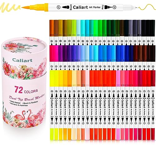 Caliart 81 Colors Alcohol Based Markers, Dual Tip Permanent Artist Art –  WoodArtSupply