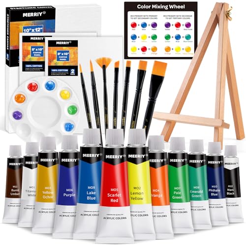 MERRIY Acrylic Paint Set for Kids, Art Painting Supplies Kit with Tabletop  Easel, 12 Colors Acrylic Paints,10x 12 Stretched Canvas, Paint Brush