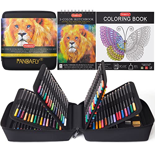 PANDAFLY 80 Pack Drawing Set Sketching Kit, Pro Art Supplies with 3-Color  Sketchbook, Watercolor Pad, Colored, Graphite, Charcoal, Metallic Pencil,  for Artist Adults Kids Beginner