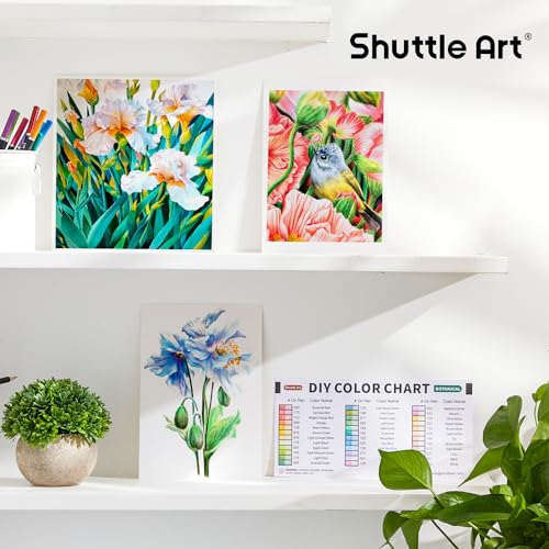 Colored Pencils, Skin Tone - Set of 36 — Shuttle Art