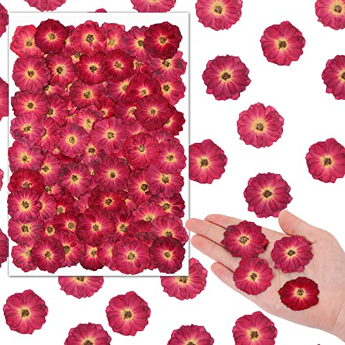 141pcs Real Nature Dried Pressed Flowers for Resin Mold Dry Pressing Floral Set for DIY Jewelry Making Nail Card Scrapbook Art Craft Decors Blossom