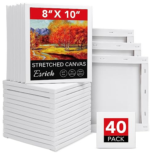 ESRICH Mini Canvases for Painting, 5x5In Canvas in Bulk 18Pack, 2/5In  Profile Small Square Canvas, Blank Canvases are Great for School Projects  and