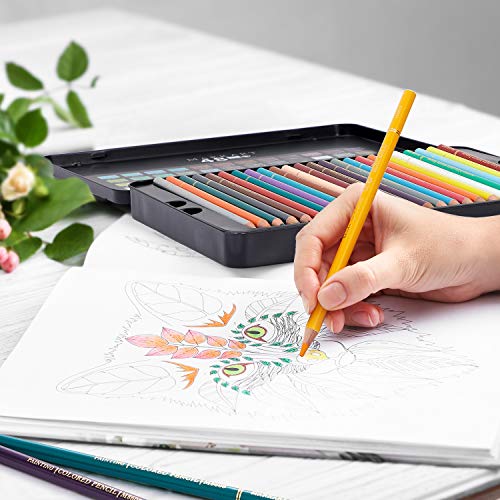 cyper top 80-color Colored Pencils for Adults Coloring Books, Soft Core  Color Pencils Set for Adults, Kids Beginners, Artist, Professional Drawing