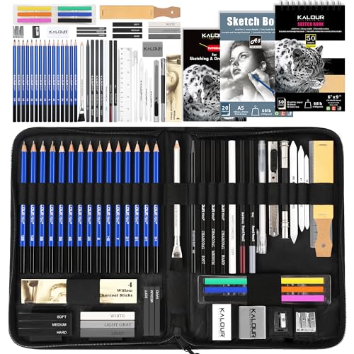 Kalour Professional Drawing Kit, Sketch Pencil Set, Professional Art Sketch  Supplies, With 1 Sketch Book, Portable Zipper Travel Box, Charcoal Pencil,  Sketch Pencil, Charcoal Stick, Pencil Sharpener, Eraser, Artist Art Supplies  For