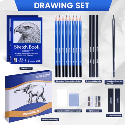  CwhaleCblu 77 Pack Drawing Set Art Supplies, Sketching Kit  with 3-Color Sketch Book, Colored, Graphite, Charcoal, Watercolor&Metallic  Pencil, Art Set For Girls Boys Kids Adults Beginner : Arts, Crafts & Sewing