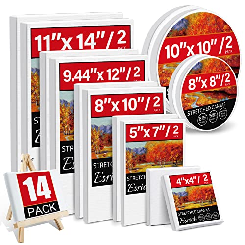 14 Packs Stretched Canvases for Painting, MultiSize 12x16, 10x12