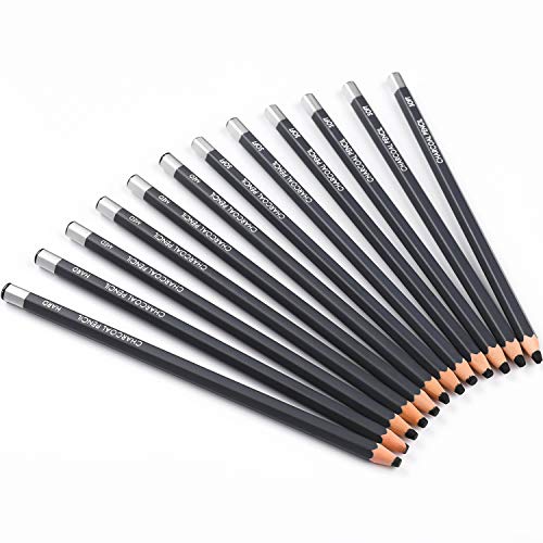 Dyvicl Professional Charcoal Pencils Drawing Set - 12 Pieces Soft, Medium &  Hard Charcoal Pencils for Drawing, Sketching, Shading, Artist Pencils for