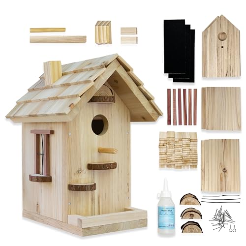  Bird House Kit, DIY Wooden Birdhouse Kits, Arts And Crafts  Painting Kits For Kids Ages 5+, Build And Paint, Including Paints & Brushes