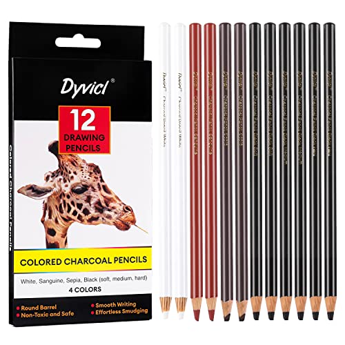 Dyvicl Professional Charcoal Pencils Drawing Set - 12 Pieces Soft, Medium &  Hard Charcoal Pencils for Drawing, Sketching, Shading, Artist Pencils for