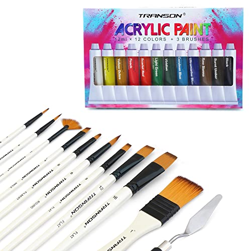 Transon Paint Brush Kit 10pcs Art Brushes and 1 Paint Spatula with Bru