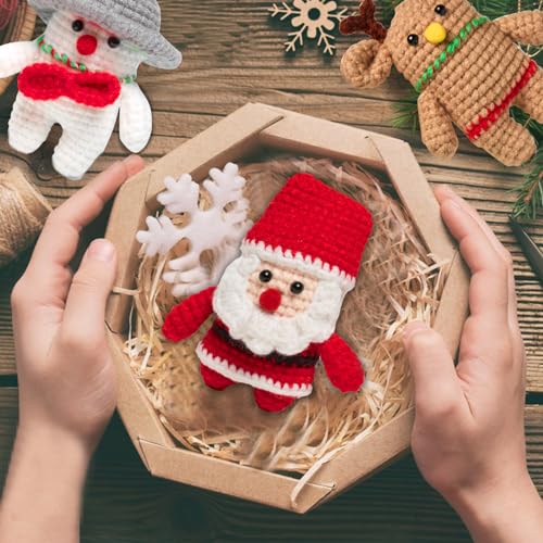  Luoshivp Crochet Kit for Beginners-Christmas Day Gift