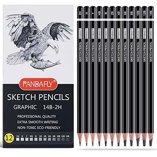 PANDAFLY 80 Pack Drawing Set Sketching Kit, Pro Art Supplies with 3-Color  Sketchbook, Watercolor Pad, Colored, Graphite, Charcoal, Metallic Pencil,  for Artist Adults Kids Beginner