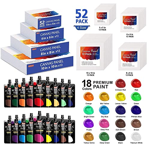 Shuttle Art Canvas Panels and Acrylic Paint Bundle, Art Painting Supplies  Set for 18 Colors Acrylic Paint Bottles (240ml/8.12oz) & 52 Pack Painting