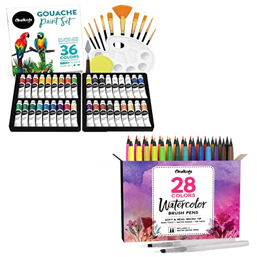 Chalkola Watercolor Paint Set for Adults, Kids, Beginner & Professional  Artists - 36 Watercolor Tubes Set (12ml, 0.4oz), 10 Painting Brushes & 1