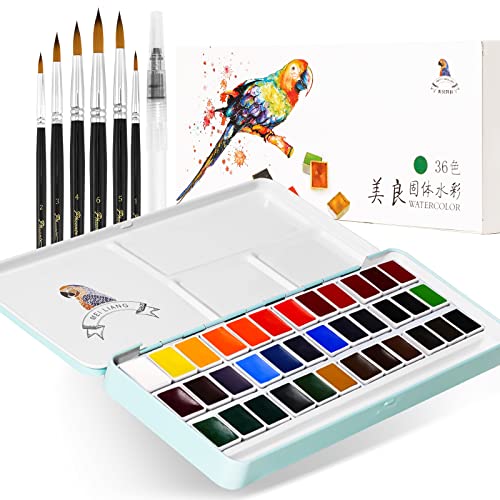 Paul Rubens Artist Grade Watercolor Paint, 48 Colors Solid Cakes with  Portable Metal Box for Artists, Beginners, Hobbyists, Students 