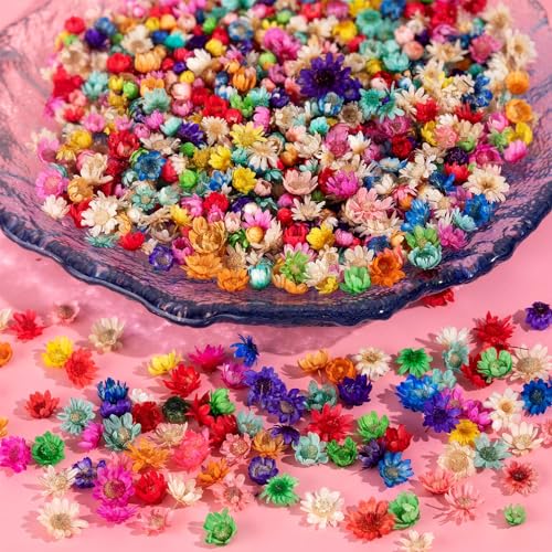 Ywli 324pcs Dried Flowers Nail Art - Nail Art Accessories Kits, 81 Color Lovely Natural Nail Art, Dried Flowers for Resin Molds, Dry Flowers for Nails, YWL