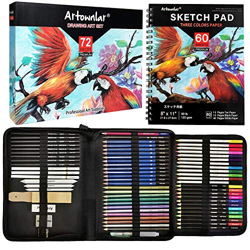 YBLANDEG Drawing and Sketching Colored Pencils Kit 145PCS, Professional Art  Supplies Painting Pencils Set, Graphite Charcoal Art Pencils Teens Adults